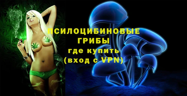 ECSTASY Баксан